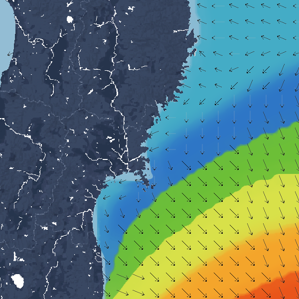 波の高さ(波高)・波向・風向