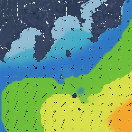 波の高さ(波高)・波向・風向