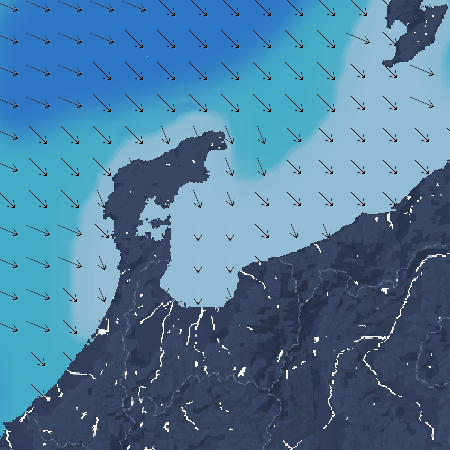 波の高さ(波高)・波向・風向