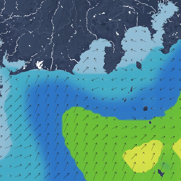 波の高さ(波高)・波向・風向