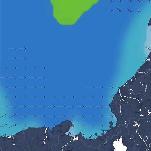 波の高さ(波高)・波向・風向