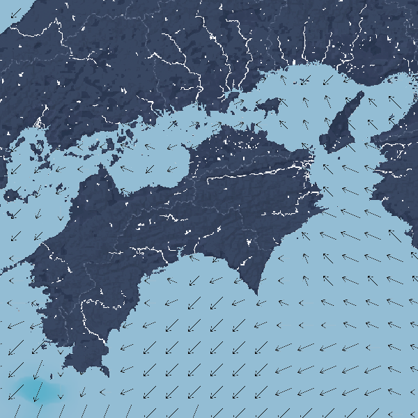 波の高さ(波高)・波向・風向