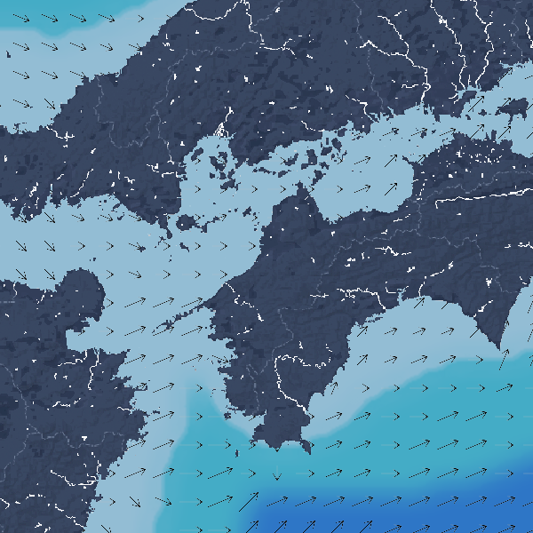 波の高さ(波高)・波向・風向